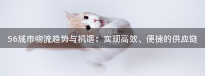 加拿大28圈数字规则