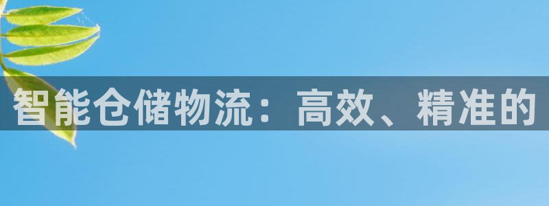 28圈充值金额随便：智能仓储物流：高效、精准的