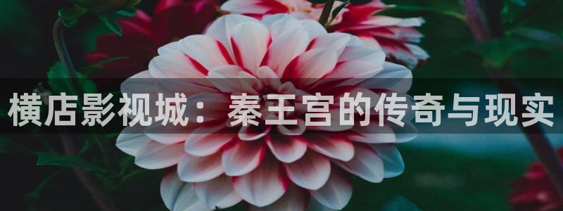悟空视频影视下载：横店影视城：秦王宫的传奇与现实