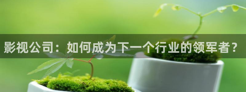 悟空八戒电影院：影视公司：如何成为下一个行业的领军者？