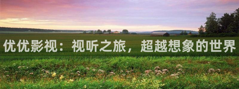 悟空观看：优优影视：视听之旅，超越想象的世界
