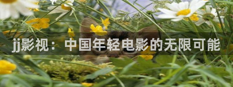 悟空完整版：jj影视：中国年轻电影的无限可能
