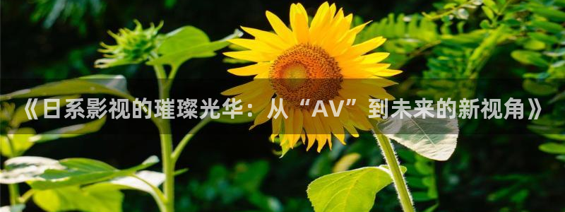 悟空影视在线：《日系影视的璀璨光华：从“AV”到未来的新视角》