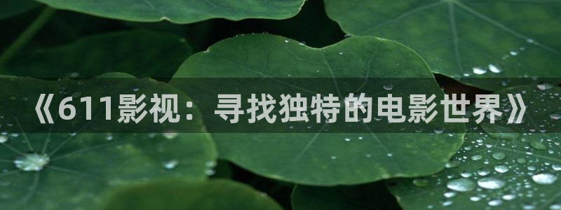 悟空影视免费观看：《611影视：寻找独特的电影世界》