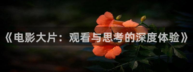 悟空视频tv：《电影大片：观看与思考的深度体验》