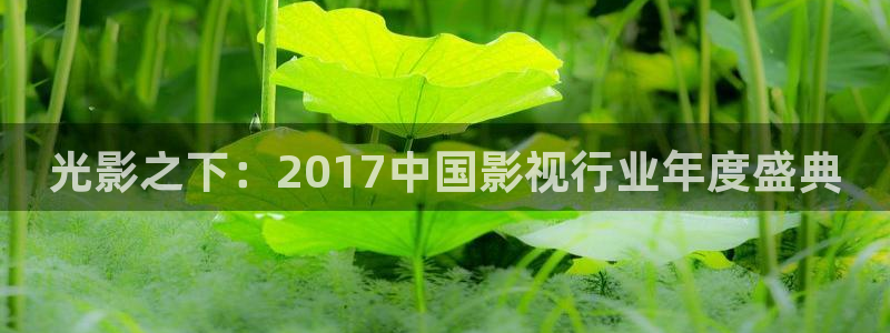 悟空视频app下载新版：光影之下：2017中国影视行业年度盛典